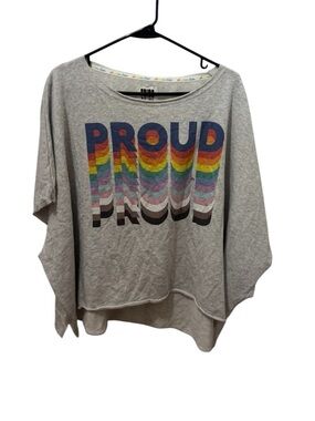 American Eagle  Gray Rainbow 'PROUD' Graphic Pullover Pride Size XL